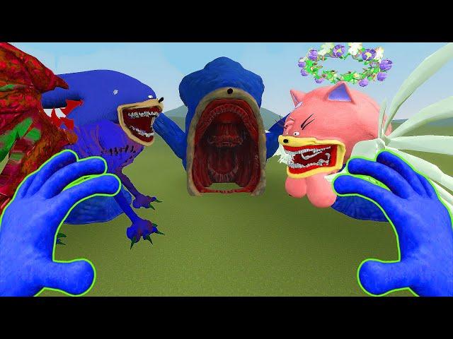 All New Shin Sonic Tapes | GET READY FOR THE MOST EPIC SONIC FAMILY BATTLE IN GARRY'S MOD!