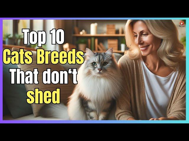  TOP 10 CATS BREEDS THAT DON'T SHED 