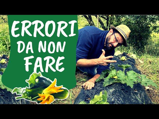 Coltivare ZUCCHINE: 3 errori da non fare