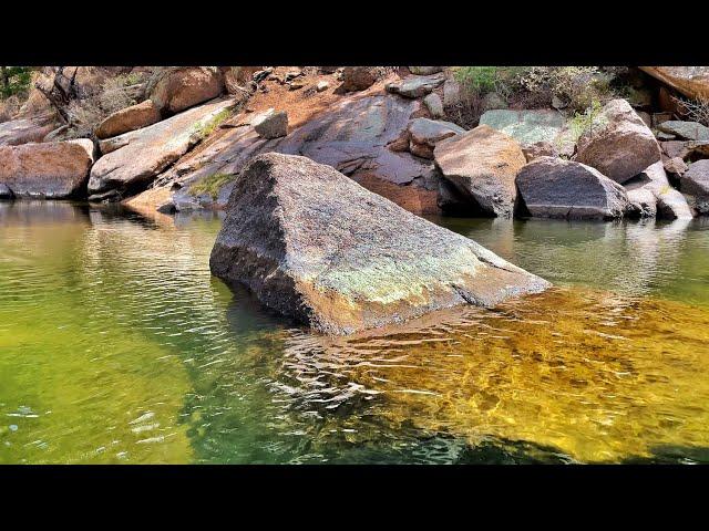 Wild Browns & Rainbows At Cheesman Canyon | Tenkara Fishing In Colorado