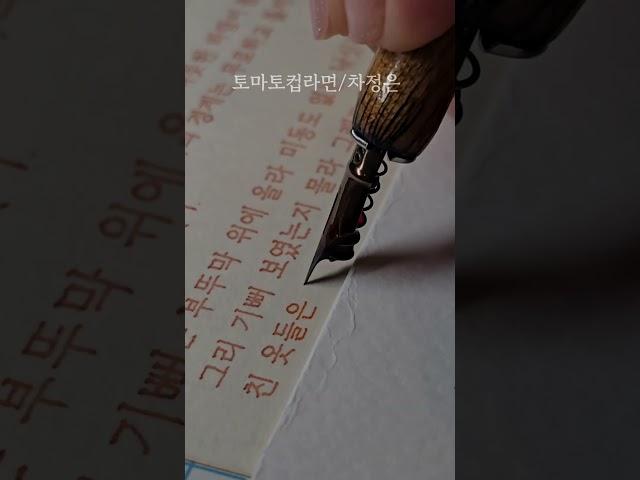 예쁜 잉크로 써보는 미꽃체  (필기구 정보는 댓글에 남길게요) #미꽃체 #손글씨 #딥펜 #한글 #예쁜글씨 #calligraphy #handwriting #art