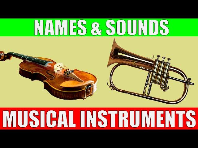 Musical Instruments Names and Sounds for Kids to Learn