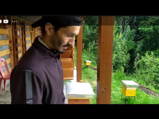 How to clean beebox  #devinder bee farm (Neri) @Mountain.HoneyBee 