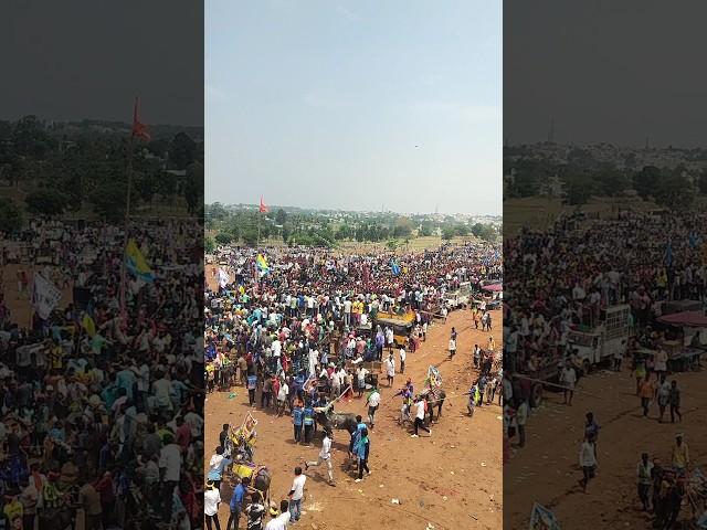 BR HULI  JALLIKATTU HOSUR JALLIKATTU HORI HABBA BULL RACE