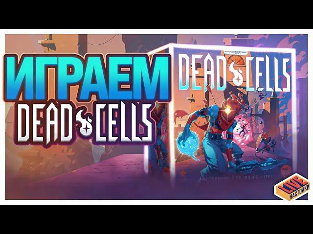 Играем в настольную игру Dead Cells