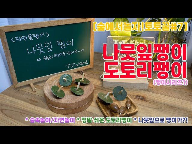 [숲에서놀자!토토꿀#7] 나뭇잎,도토리 팽이만들기(자연물팽이/숲놀이/자연놀이/팽이놀이/팽이시리즈1/팽이)