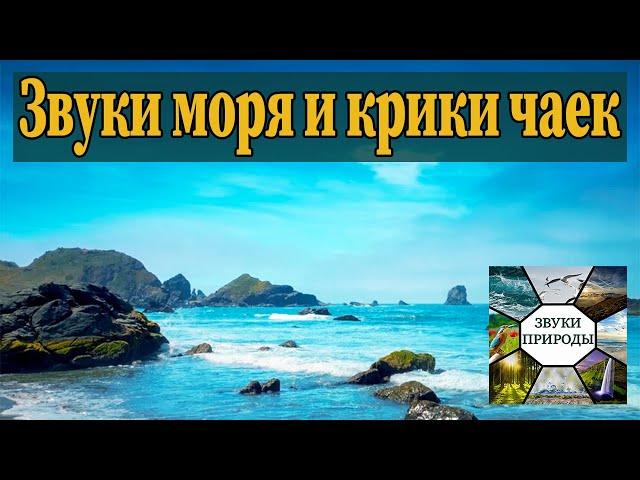Звуки моря. Крики чаек. Спокойствие и умиротворение. Музыка для сна. 1 час
