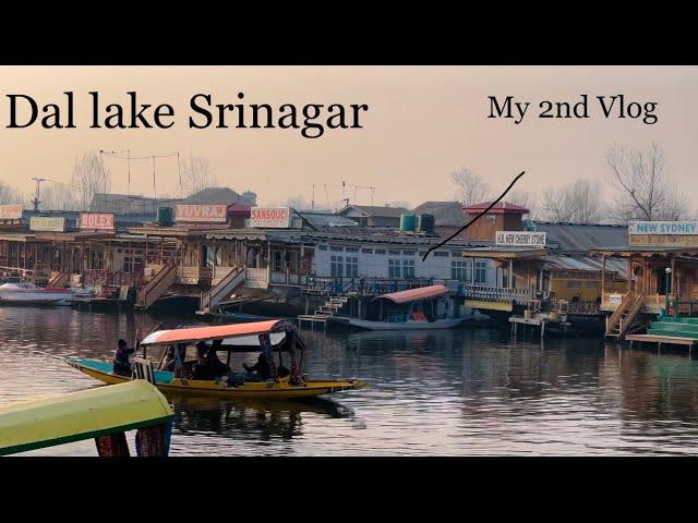 Dal Lake Srinagar || Dal Lake Trip With Friends || Winter in Kashmir #dallake #kashmirtrip #newvlog