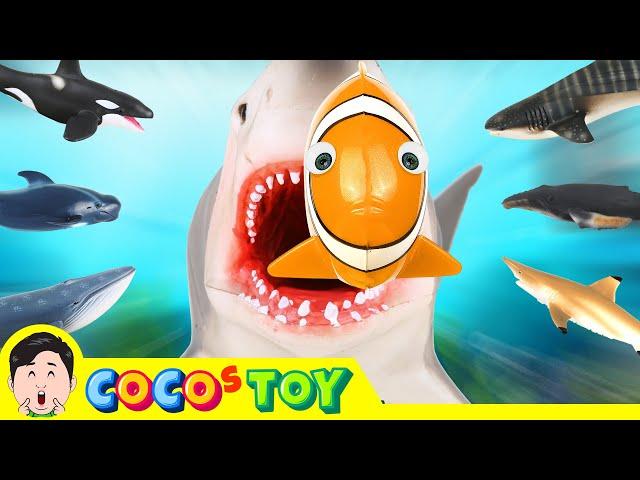 Let's raise sharks and whalesㅣsea animal cartoons for childrenㅣCoCosToy