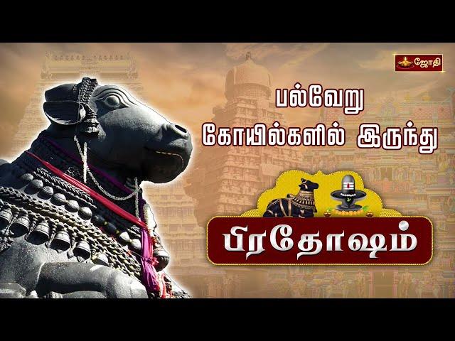 தோஷங்கள் நீங்கும் பிரதோஷம் | Pradhosham பல்வேறு கோவில்களில் இருந்து | Jothitv