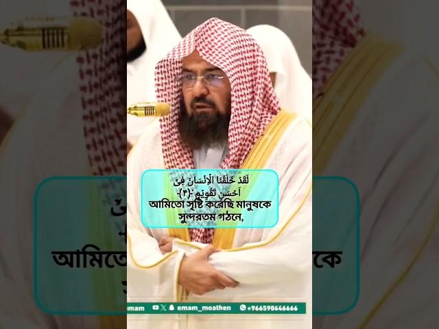 সুরা আত ত্বীন; হৃদয়স্পর্শী কন্ঠে আব্দুর রহমান আল সুদাইস #quran #sudaisquranrecitation #emotional