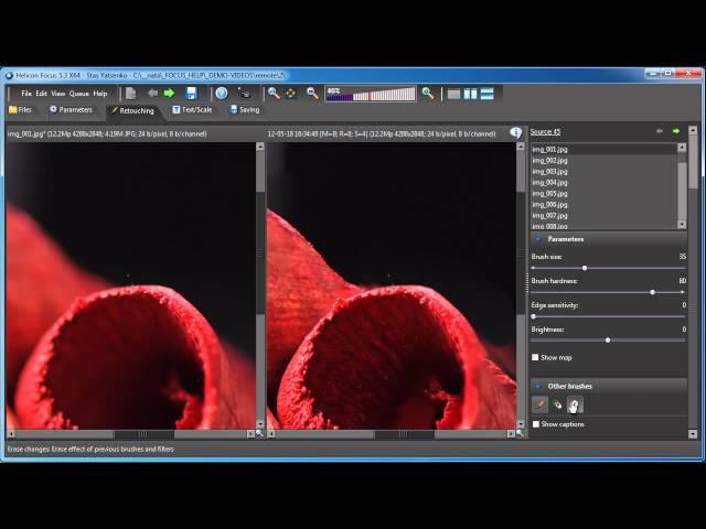 Retouching in Helicon Focus