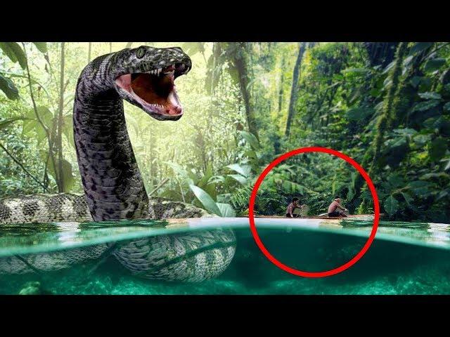 Most Mysterious Legends From South America!