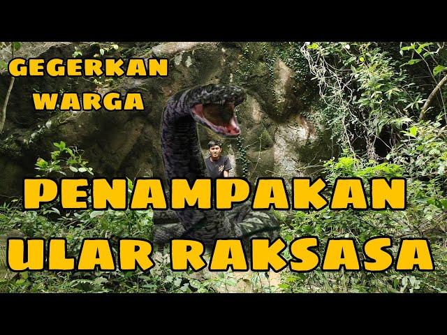 Virall ‼️Detik detik youtuber merekam ULAR RAKSASA di dalam goa