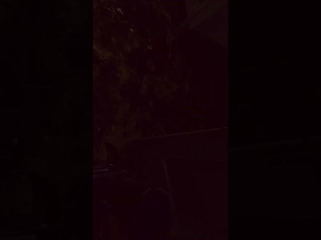 Rat Vs Chad Tarkov