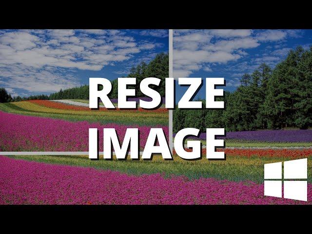 How to resize an image in Windows 11 with Paint (step by step)