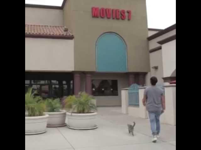 Aaron's Animals - Movie Theatre Mission