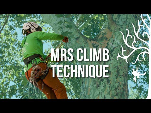 How to get into trees using MRS | moving rope system /DRT | safe, beginner tree climbing