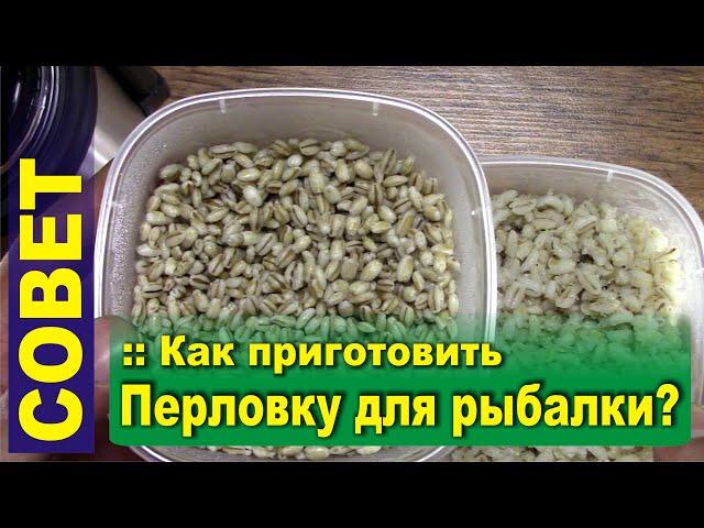 Как приготовить перловку для рыбалки