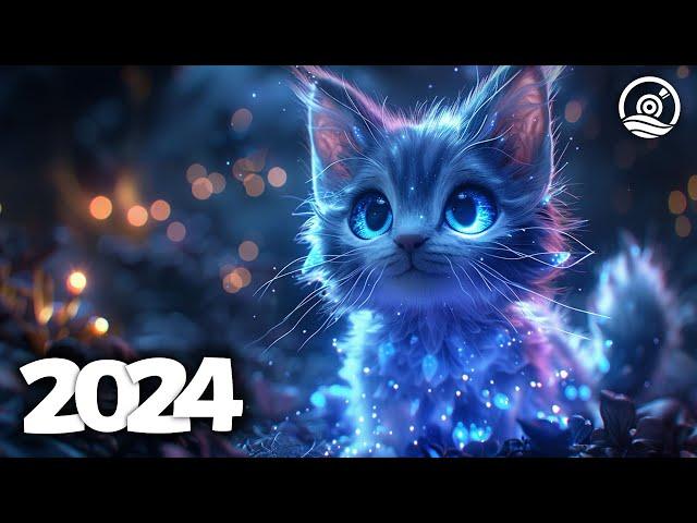 Music Mix 2024  EDM Mixes of Popular Songs  EDM Bass Boosted Music Mix #220