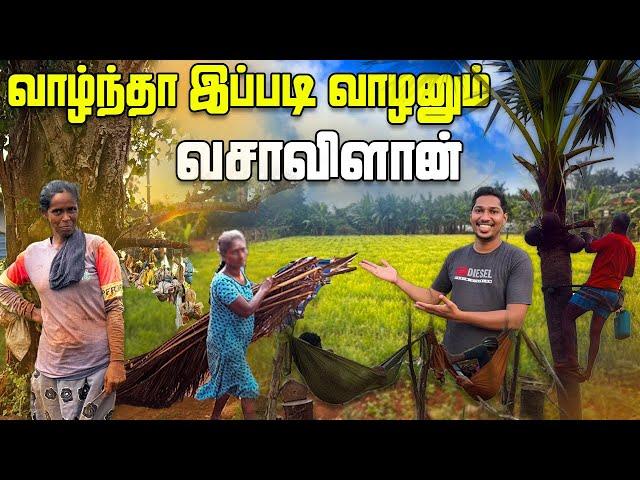 யாழில் பழமை மாறாத அழகிய கிராமம் | Vasavilan Village Explore | Jaffna | Sri Lanka