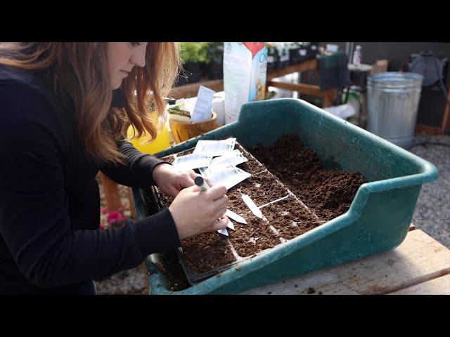 Seed Starting: 1,000+ Annual Flowers!  // Garden Answer