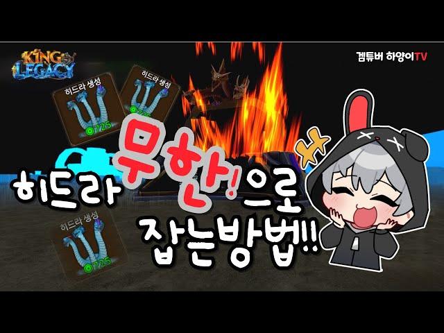 [킹피스] 히드라 무한으로 잡는방법!!!! 대공개