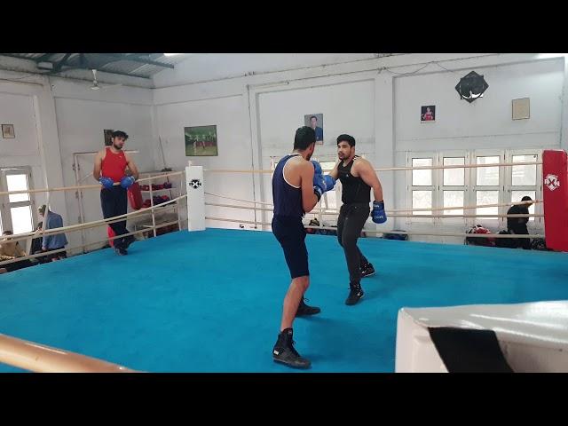 Sparring Like Gervonta Davis | Hard Sparring Session | Gervonta Davis vs abner mares |भारतीय मूकेबाज