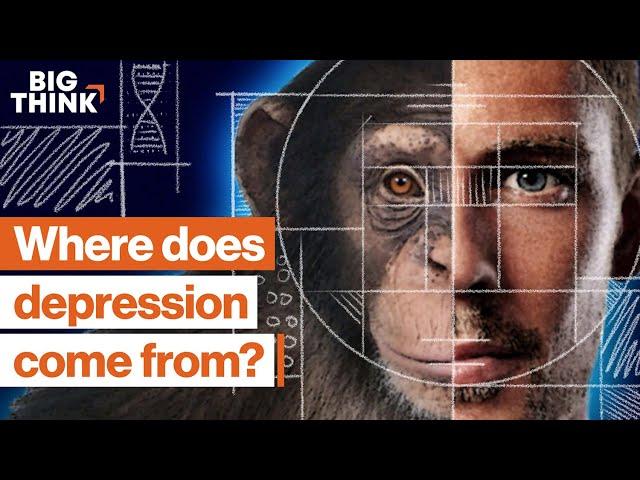 7 dimensions of depression, explained | Daniel Goleman, Pete Holmes & more | Big Think