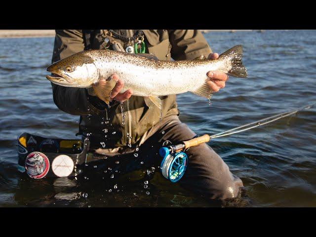 Leader and Line for sea trout fly fishing - How I rig my rod. No tools needed