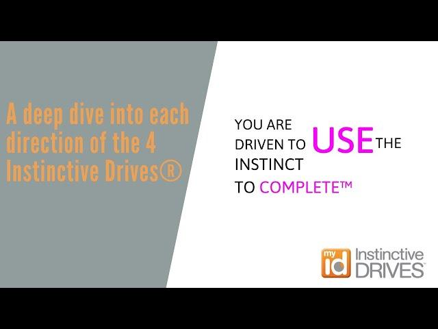 A deep dive into each direction of the 4 Instinctive Drives® – Use Complete