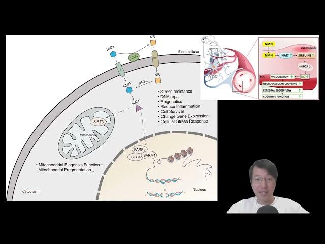 科學新知 2024-12-26 Part4: NMN是逆齡萬靈丹？科學界別內如何說？| 主持： 陳志宏 博士 & 台長 梁錦祥