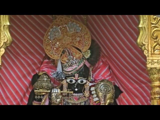 Shri Ranchhodraiji live Darshan Dakor Temple