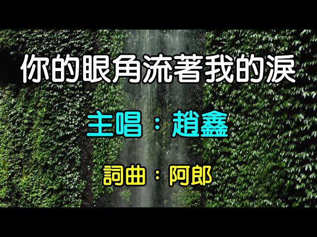 你的眼角流著我的淚-趙鑫