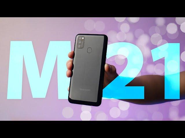 Обзор Samsung Galaxy M21 / ЛУЧШИЙ бюджетник Samsung!