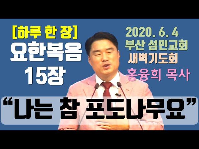[하루 한 장] 요한복음15장_나는 참 포도나무요