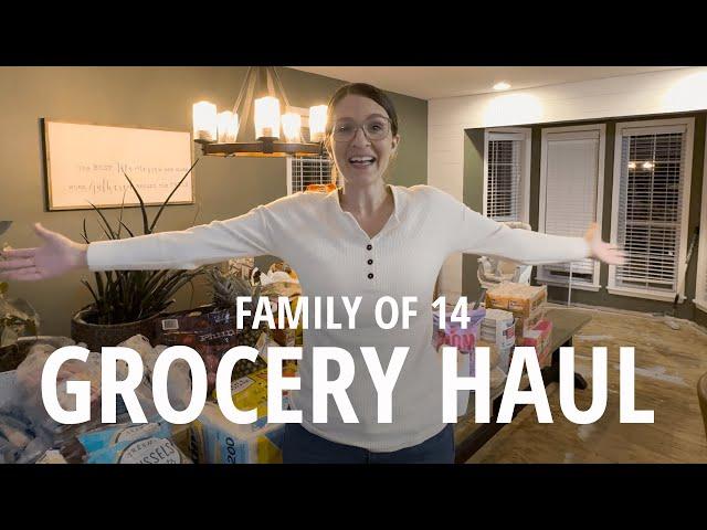 LARGE FAMILY GROCERY HAUL