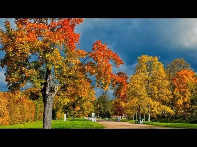Andre Rieu    My Way