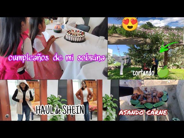 cumpleaños  de mi sobrina/ corte manzanas /  haul de #SHEINAnniversary