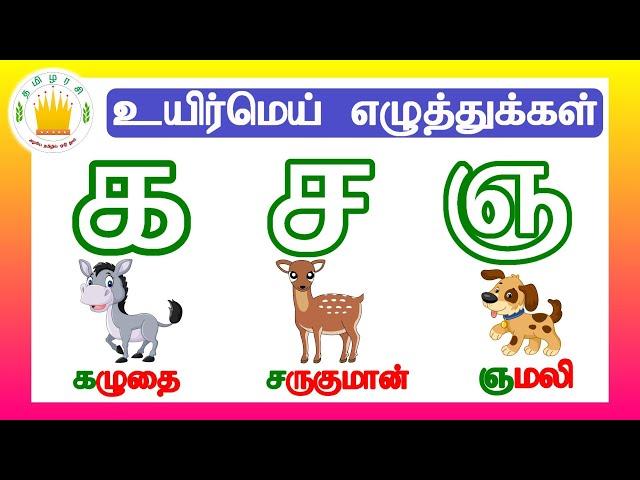 தமிழரசி- க ங ச(உயிர்மெய் எழுத்துக்கள்)|UyirMei Ezhuthukkal |Learn Tamil letters for kids|Tamilarasi