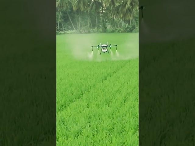 Agri Drone Sprayer      . #agriculture #agridrone #agritech #drone #modrenfarming #paddy #spray