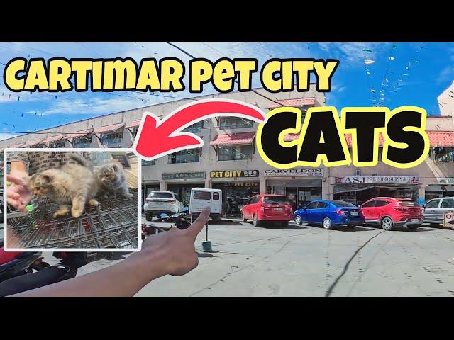 Cartimar Pet Haus