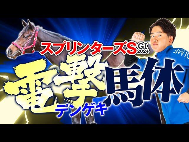 【スプリンターズS 2024】電撃6ハロン戦は機動力と「溜め」がポイント！短距離路線の天下統一に期待大！馬体診断・フォトパドック【競馬予想】