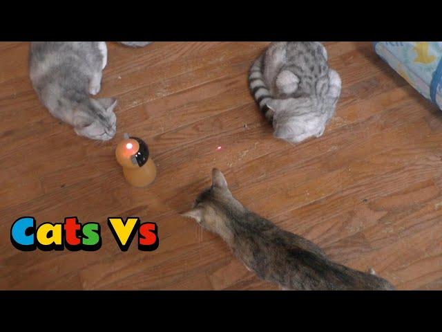 Cats Try Laser Light Cat Toy From Amazon! 