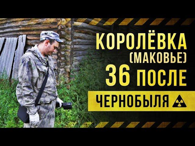  Деревня Королёвка (Маковье) 36 лет после Чернобыля.