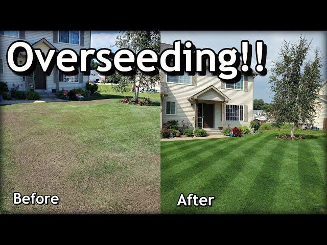 How To OVERSEED Your Lawn in SPRING // Complete Step by Step Guide