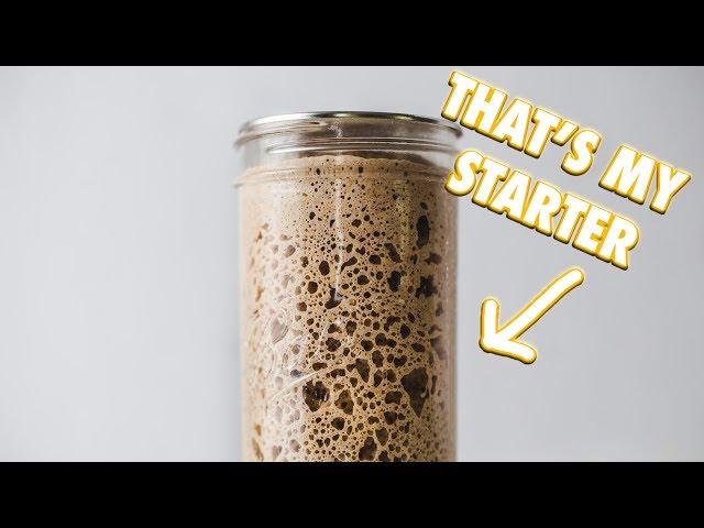 The Ultimate Sourdough Starter Guide