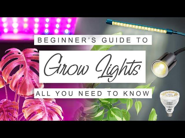 Easy Beginner's Guide To Grow Lights For Houseplants  GROW LIGHT 101  Why, When + How To Use Them