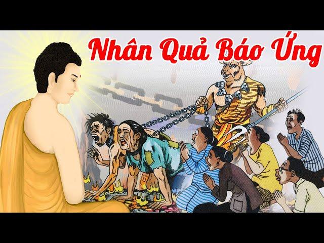 Nhân Quả Báo Ứng, Gieo Nhân Gặt Quả "LÀM ÁC GẶP ÁC" Kiếp Người Ngắn Lắm | Phật Giáo Nhiệm Màu