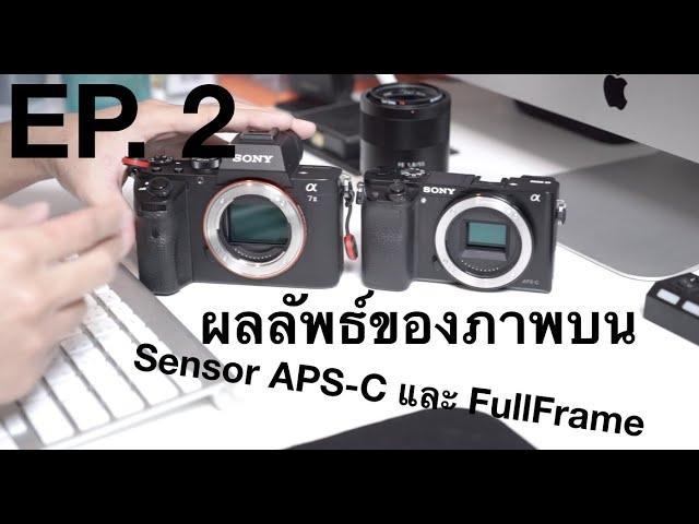 ผลลัพธ์ของภาพบน Sensor Full Frame และ APS-C | Camera EP. 2 | เล่นกล้องเรื่องง่ายๆ